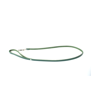 Laisse en cuir - Coupé franc - 1m - Vert