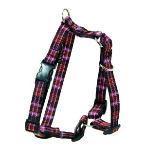 Nylon harness - Chili - 46/68cm - 2cm - purple