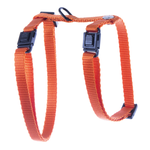 Harnais chat en nylon - Classique - 35/50cm - 1cm - orange