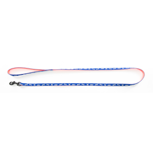 Laisse en nylon - Cat bicolor - 1m20 - 1cm - bleu