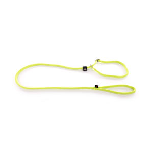 Laisse éducation avec collier en nylon - Classique Rond - 1m80 - 1.3cm - vert