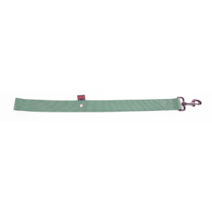 Laisse double épaisseur en nylon - Nylon classique - 60cm - 4cm - vert