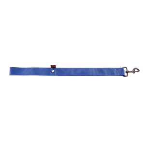 Laisse double épaisseur en nylon - Nylon classique - 60cm - 4cm - bleu