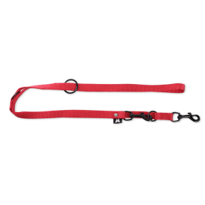 Laisse multiposition en nylon - Classique - 2m - 2cm - rouge