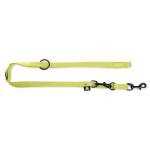 Laisse multiposition en nylon - Classique - 2m - 2cm - vert