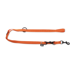 Laisse multiposition en nylon - Classique - 2m - 2cm - orange