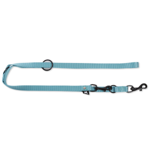 Laisse multiposition en nylon - Classique - 2m - 2cm - turquoise