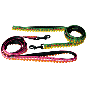 Laisse en nylon - Dancing queen - 1m - Vert