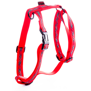 Harnais en nylon - Benton - 1.9cm - rouge