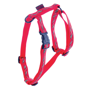 Harnais en nylon - Benton - 70/90cm - 2.5cm - rouge