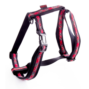 Harnais en nylon - Benton - <25/35cm - 1cm - noir