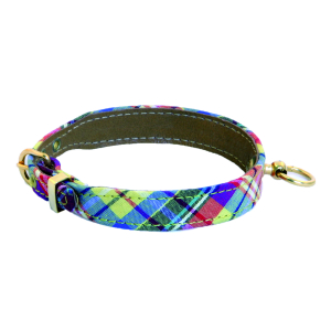 Collier en nylon - Benton - <30cm - 1.2cm - jaune