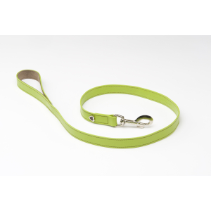 Laisse en cuir - Citadine - L - vert