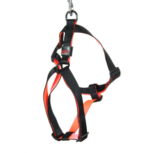 Harnais en nylon - Nylon basique - 50/70cm - 2cm - noir