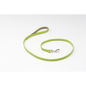 Laisse en cuir - Citadine - XS - vert