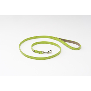 Laisse en cuir - Citadine - S - vert