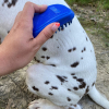 Polaire pour chien -  gris Vivog