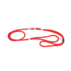 Cage de transport pour chien et chat Avior Grise  - 57,5x39,5x40,5 cm  