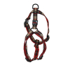 Collier réglable pour chat - Chic