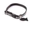 Pull pour chien - For sail - Beige - 20cm