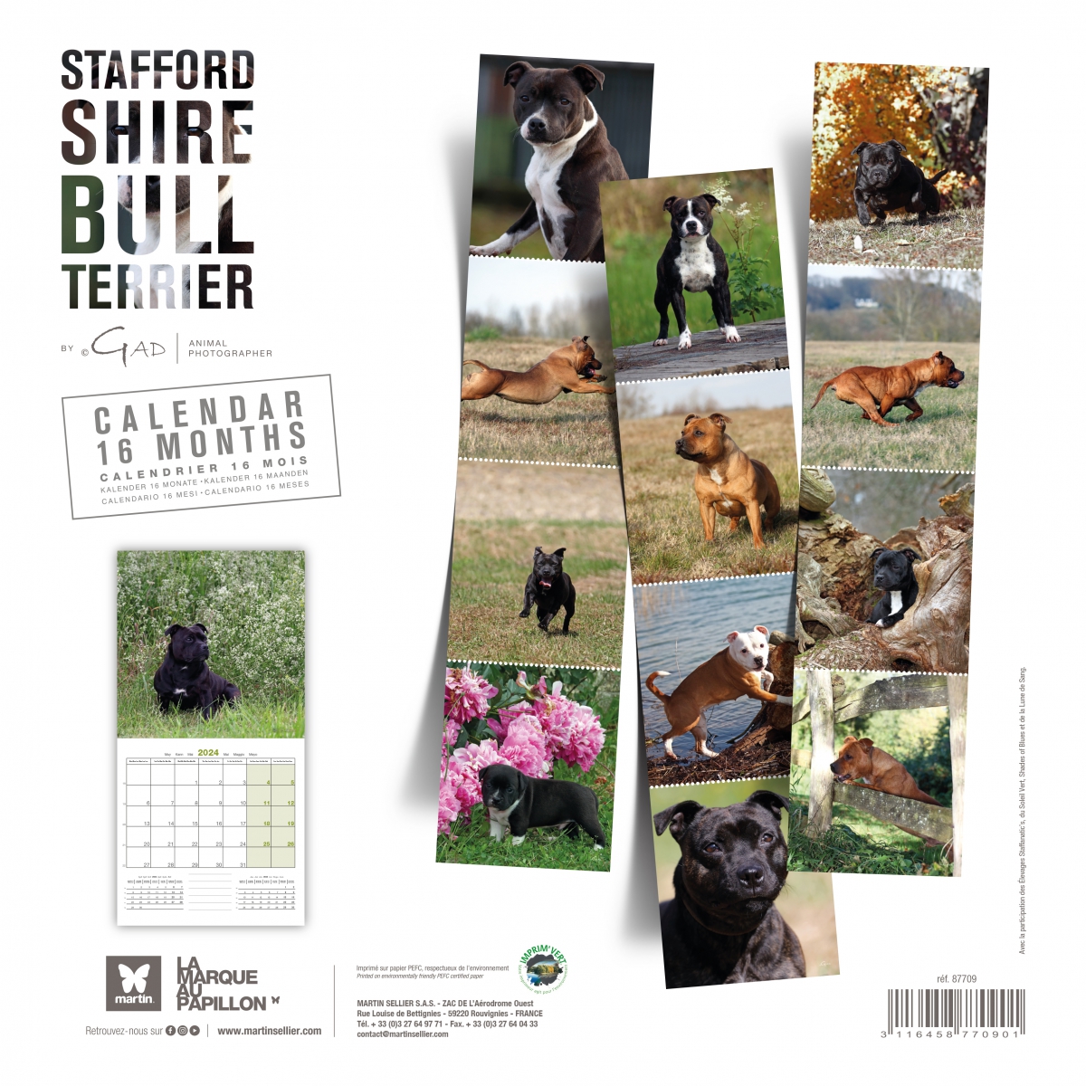 Bull Terrier 2024 dog calendar Martin Sellier