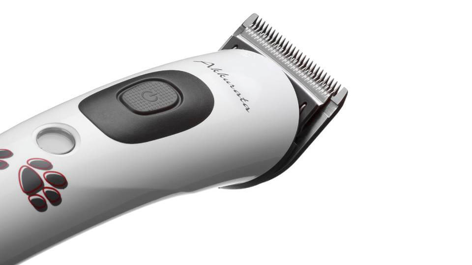 Tondeuse-chien-chat-Aesculap-Akkurata-GT405-moteur