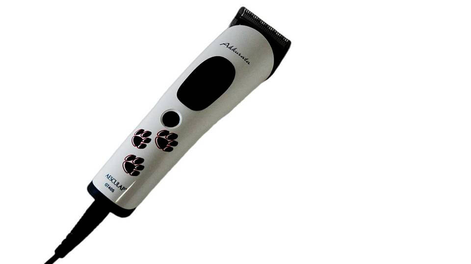 Tondeuse-chien-chat-Aesculap-Akkurata-GT405-secteur