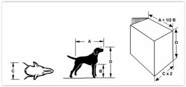 Dimensions idéales des cages de transport chien